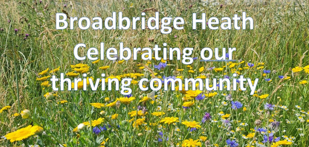An image of wildflowers with text.