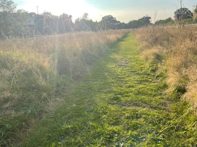 Wildflower Area Maintenance