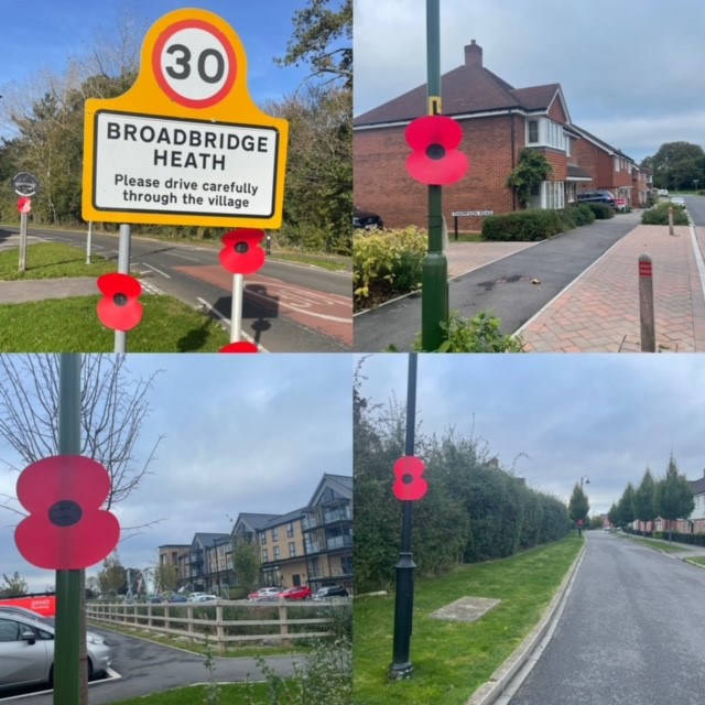 Remembrance Poppies in the Village 