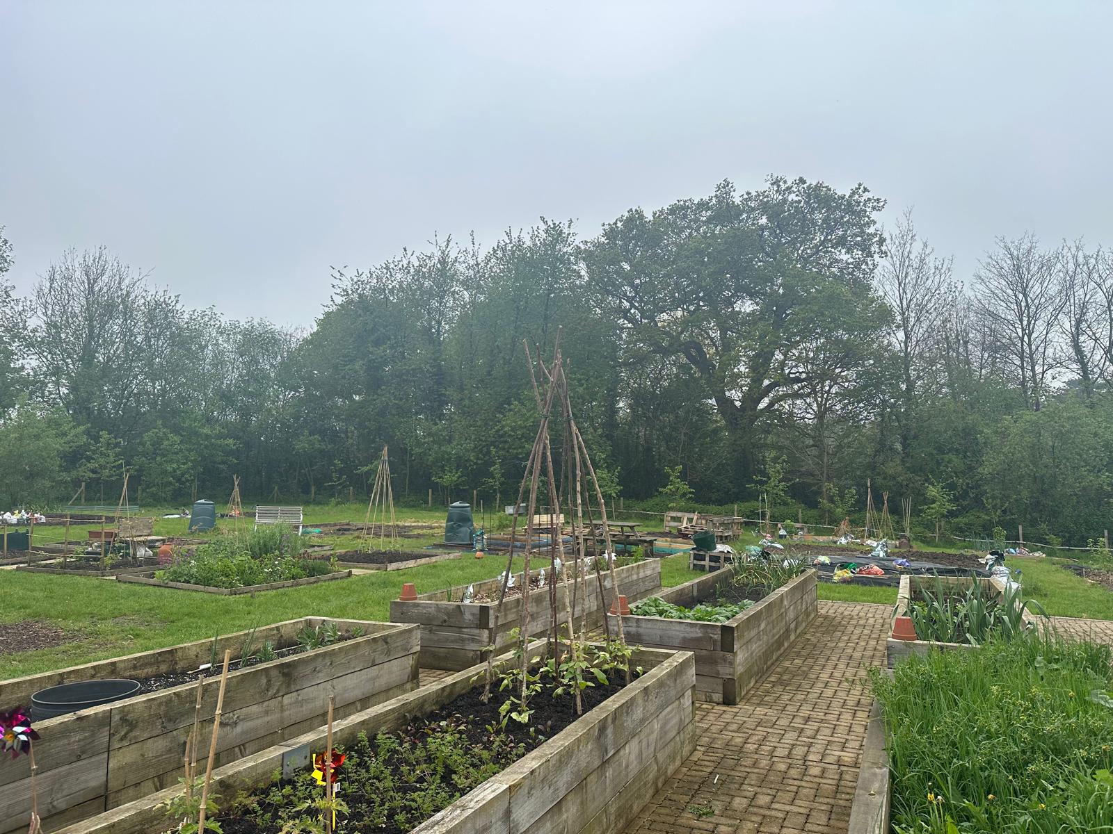 Allotment Working Group