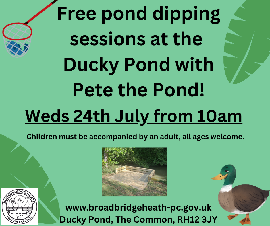 Pond Dipping at the Ducky pond