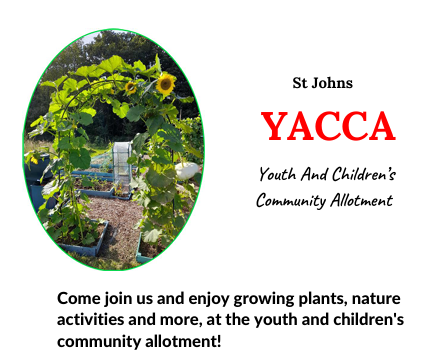 Youth & Children